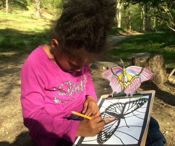 Young girl drawing a butterfly.