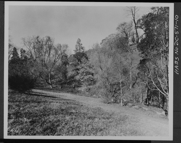 Black and white photo of the Clifton Hill Walk.