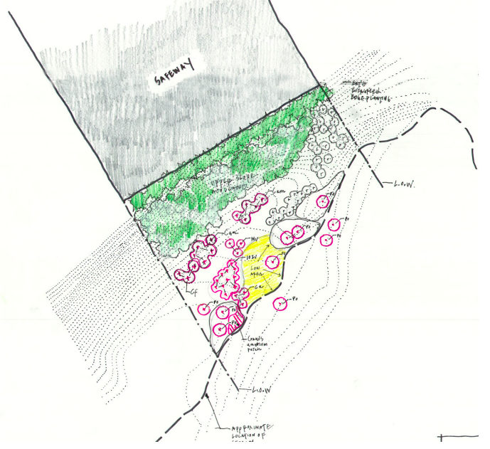 Concept drawing for the Upper Stream Valley planting.